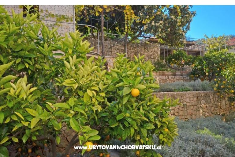 Lola Apartmani – foto 19