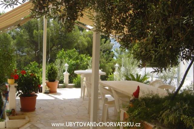 Apartmani Zgogo – foto 6