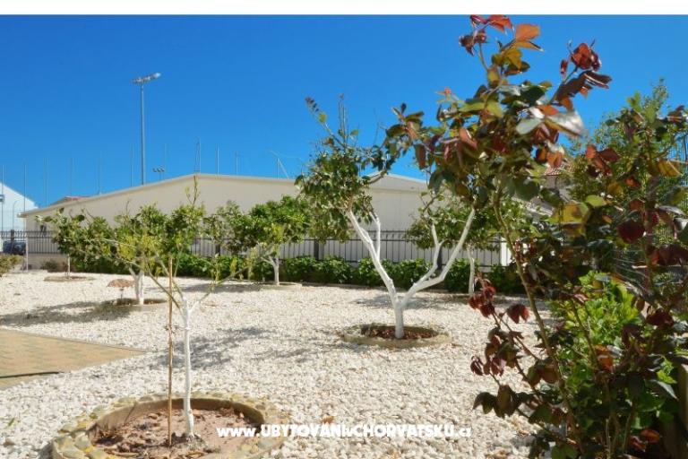 Simba Apartmani – foto 3