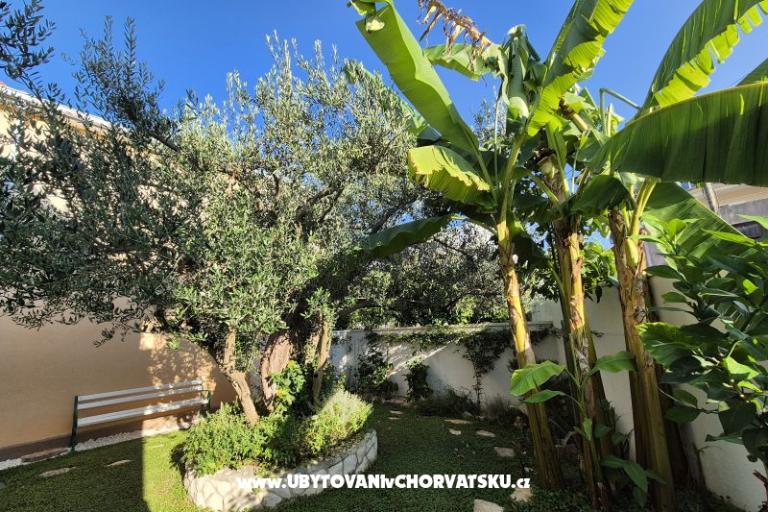 The Three Flowers Pool Kuća – foto 61