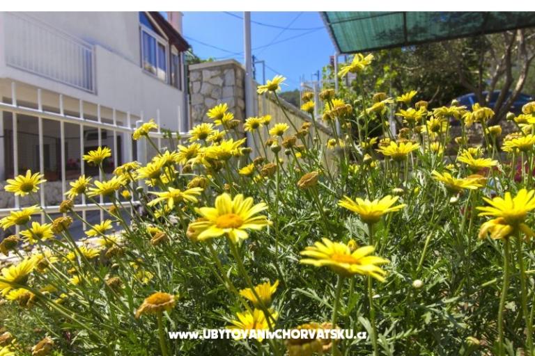 Apartmani Katarina Čiovo – foto 11