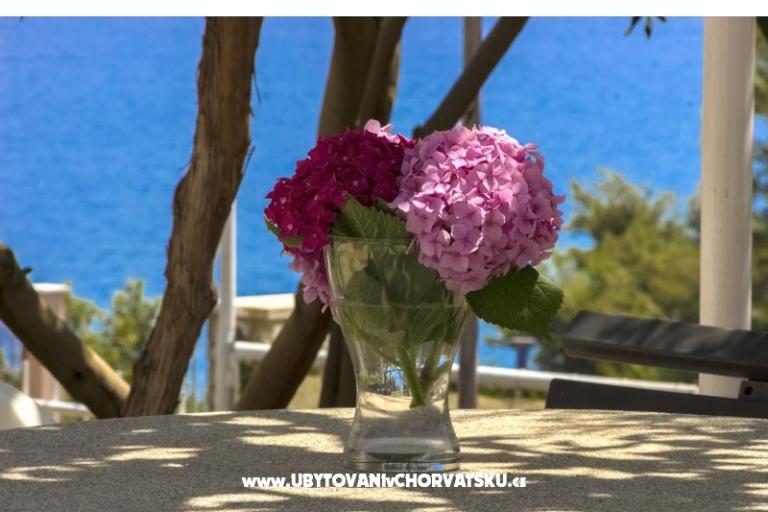 Apartmani Katarina Čiovo – foto 9