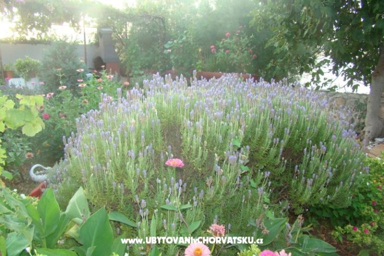 Apartmani Villa Milena – foto 6
