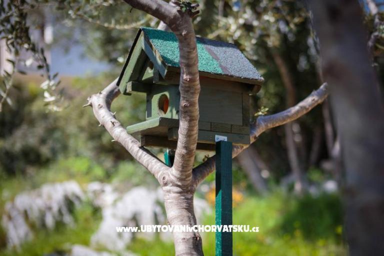 Kuća Tea in a beautiful nature – foto 8