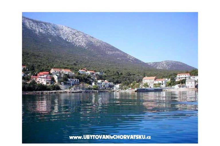 Apartmani BIBA – foto 7
