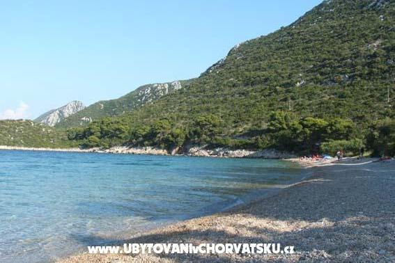 Apartman Despot – foto 7