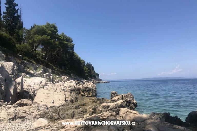 Vila Nautilus luxury Apartmani – foto 20