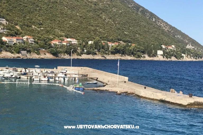 Vila Nautilus luxury Apartmani – foto 22