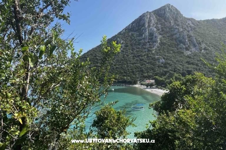 Vila Nautilus luxury Apartmani – foto 9