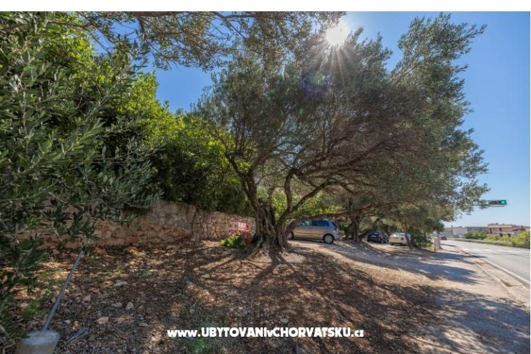 Apartmani Marta – foto 18