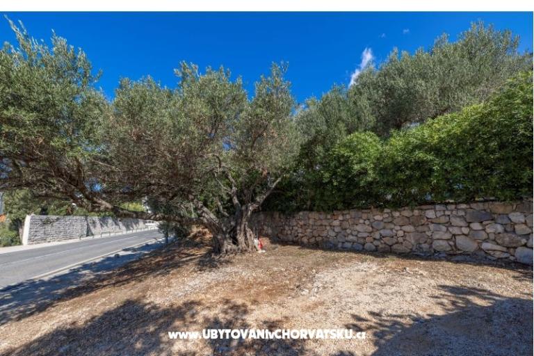 Apartmani Marta – foto 19