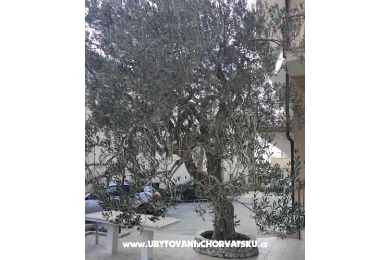 Apartmani Mena – foto 4