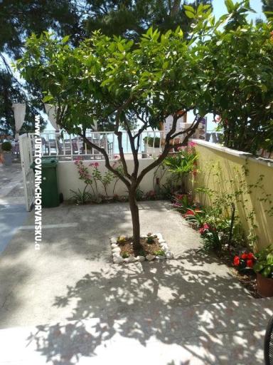 Apartmani Mija – foto 10