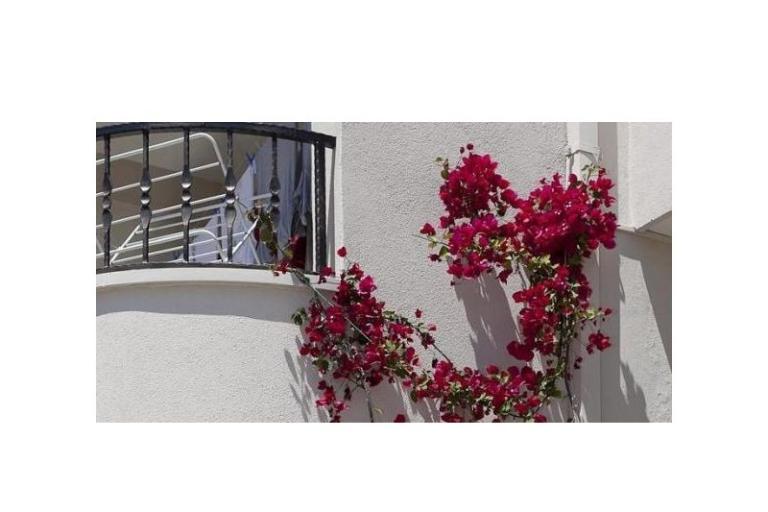 Apartmani Suzana i Zlatan – foto 8