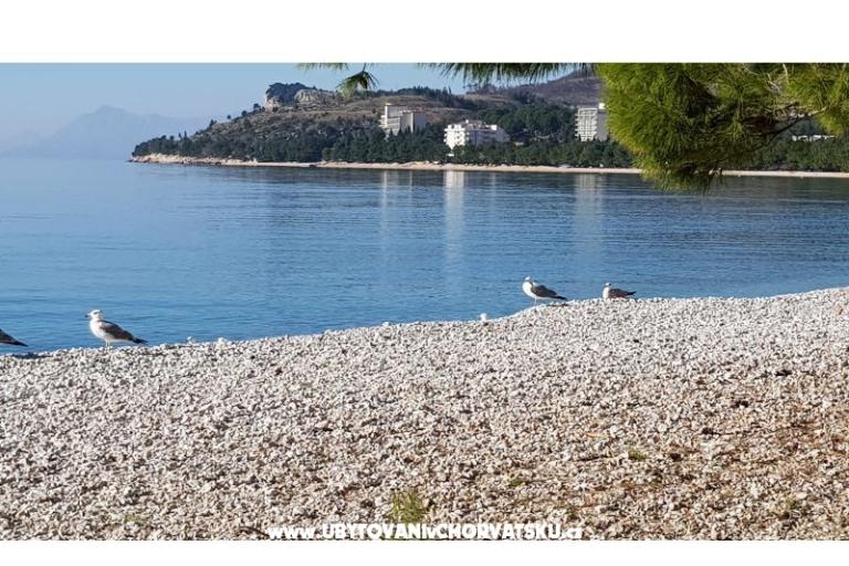 Apartmani IKO - Tučepi – foto 10