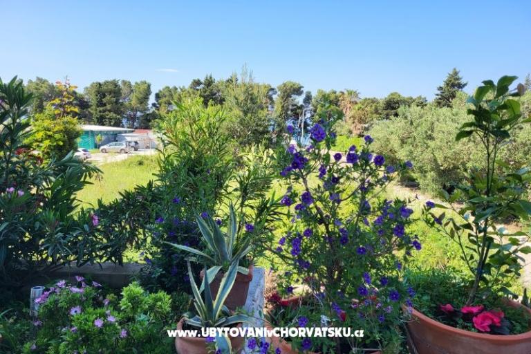 Apartmani IKO - Tučepi – foto 20