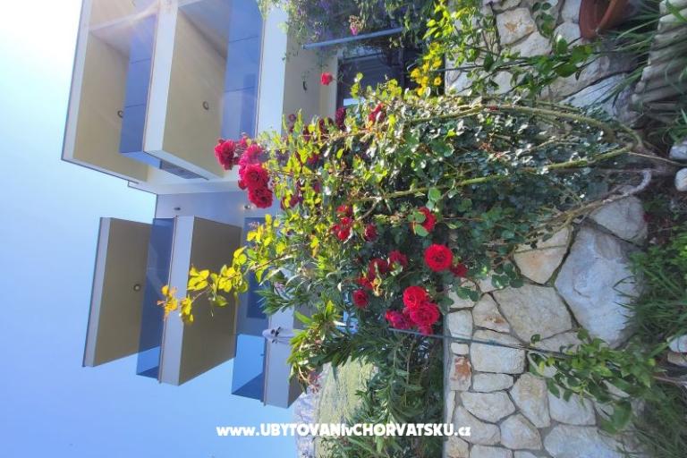 Apartmani IKO - Tučepi – foto 21