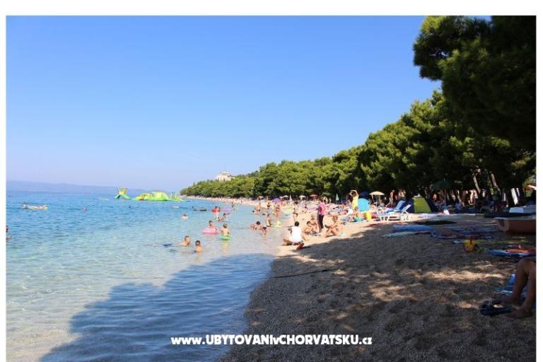 Apartmani Vesna - Kuća Covic – foto 10