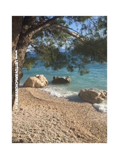 Apartmani Vesna - Kuća Covic – foto 18