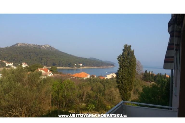 Apartman M.Borojević Lukoran – foto 17