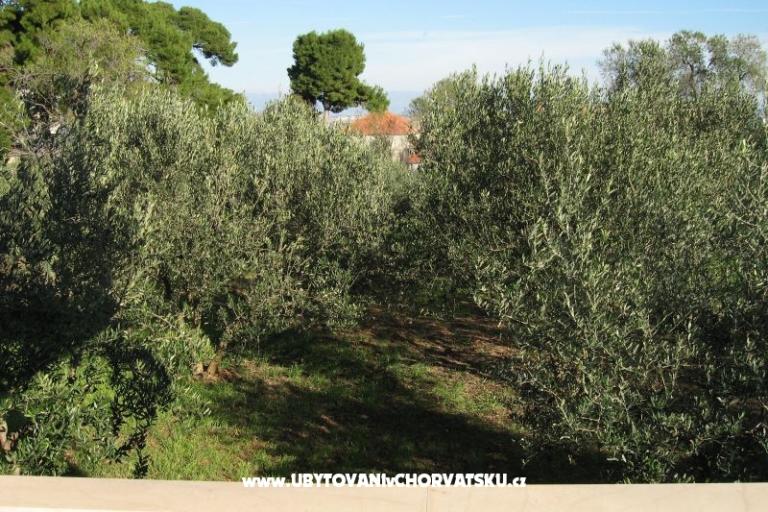 Apartmani Ante – foto 2