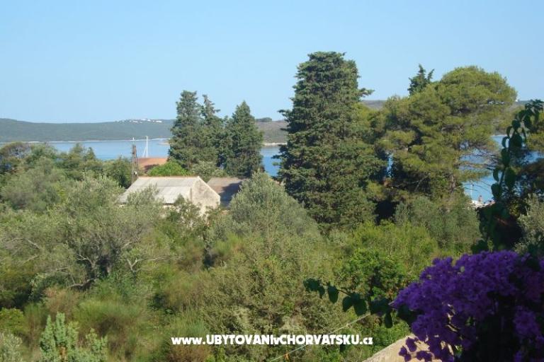 Apartmani Branko Vidaković – foto 12