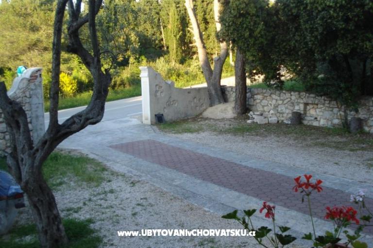 Apartmani Branko Vidaković – foto 15