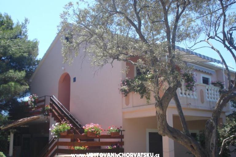 Apartmani Branko Vidaković – foto 2