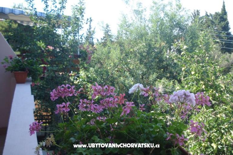 Apartmani Branko Vidaković – foto 8