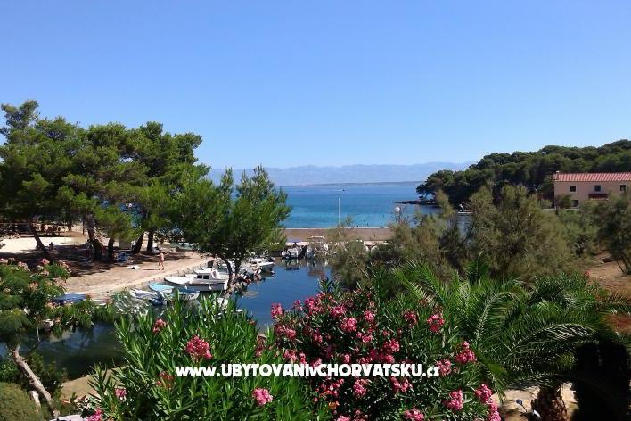 Apartmani ENA – foto 8