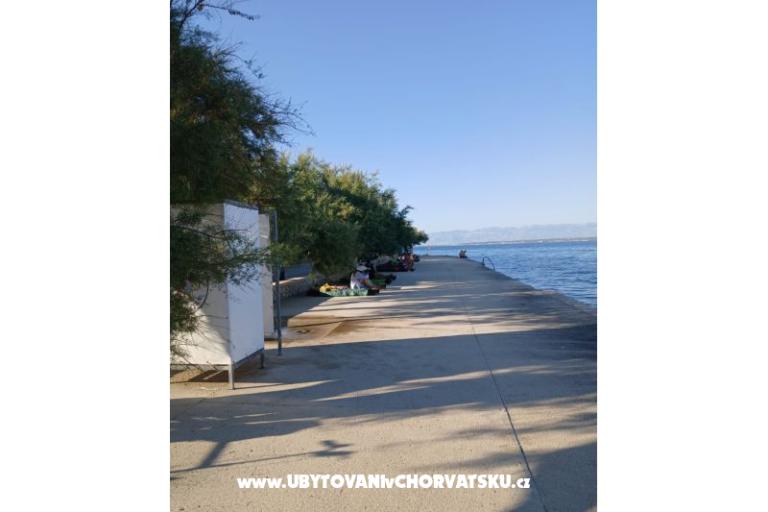 Apartmani Galius Ugljan – foto 20