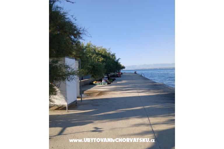 Apartmani Galius Ugljan – foto 5