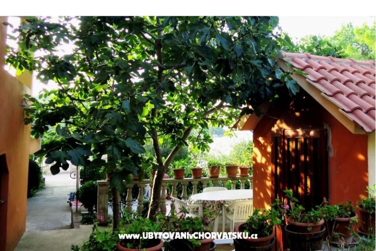 Apartmani Tereza – foto 4