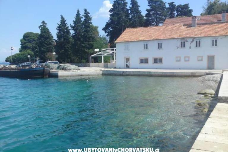 Apartmani Dekovi – foto 8