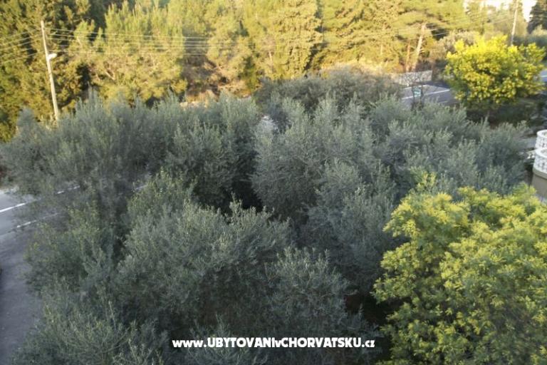 Apartmani Mrva – foto 12