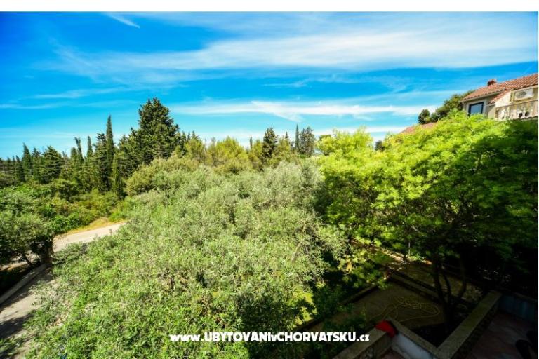 Apartmani Mrva – foto 14