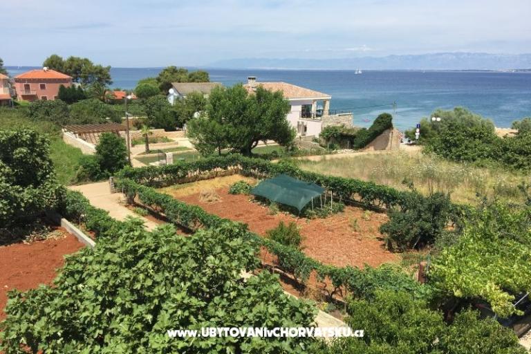 Katarina Apartmani – foto 5