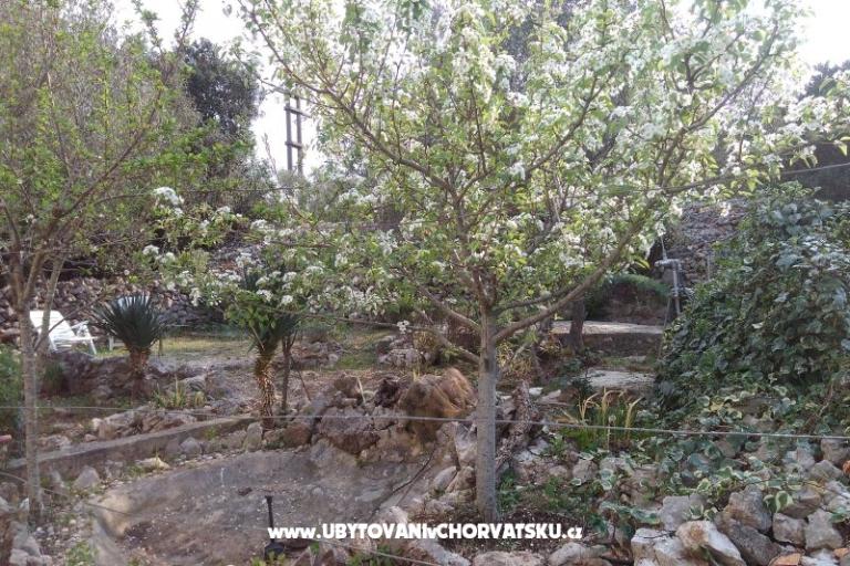 Kuća za odmor Ivan – foto 10