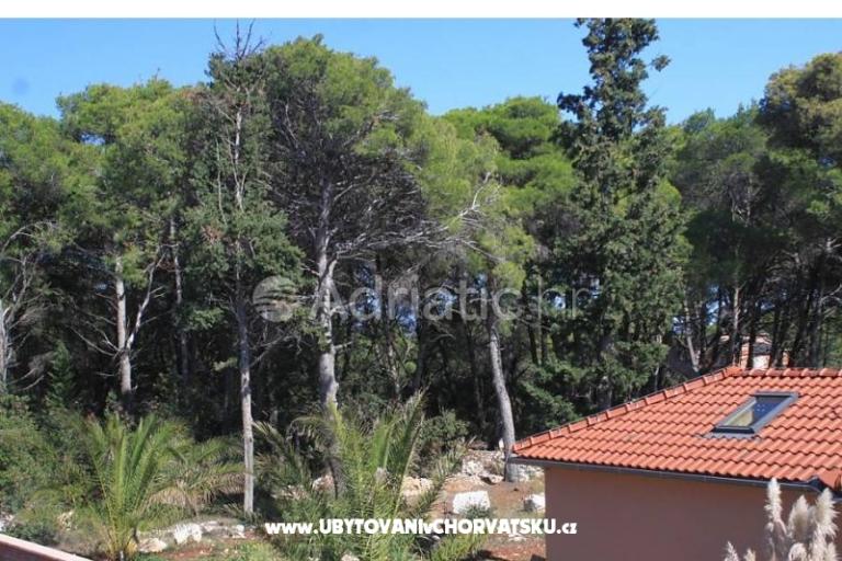 Apartmani Mirjana – foto 14