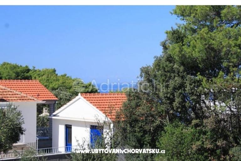 Apartmani Mirjana – foto 15