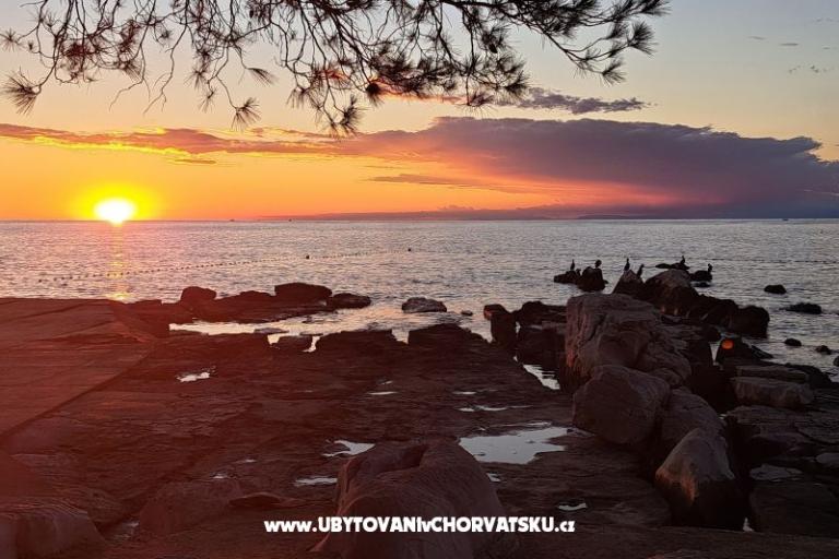 Apartmani Boris – foto 17