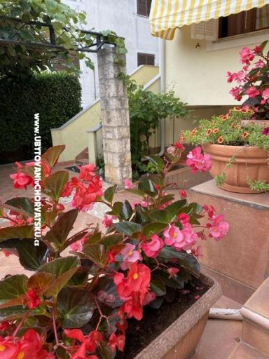 Apartmani Maris  – foto 2