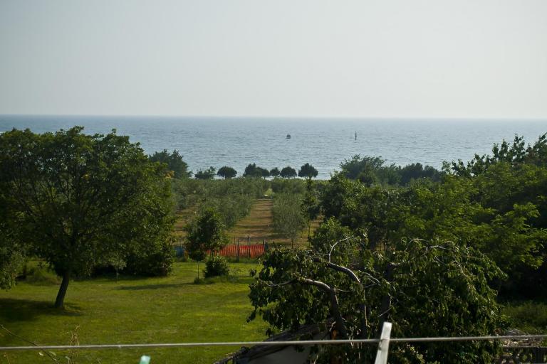 Apartmani Paradinovic – foto 2