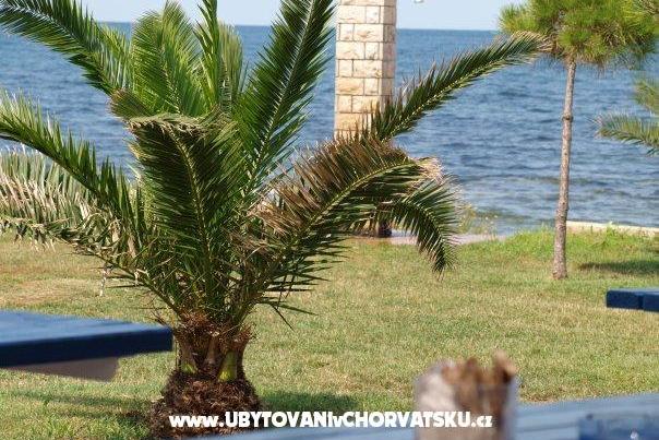 Apartmani Nevenka – foto 11