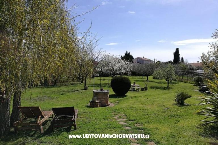 Apartmani Jana – foto 8