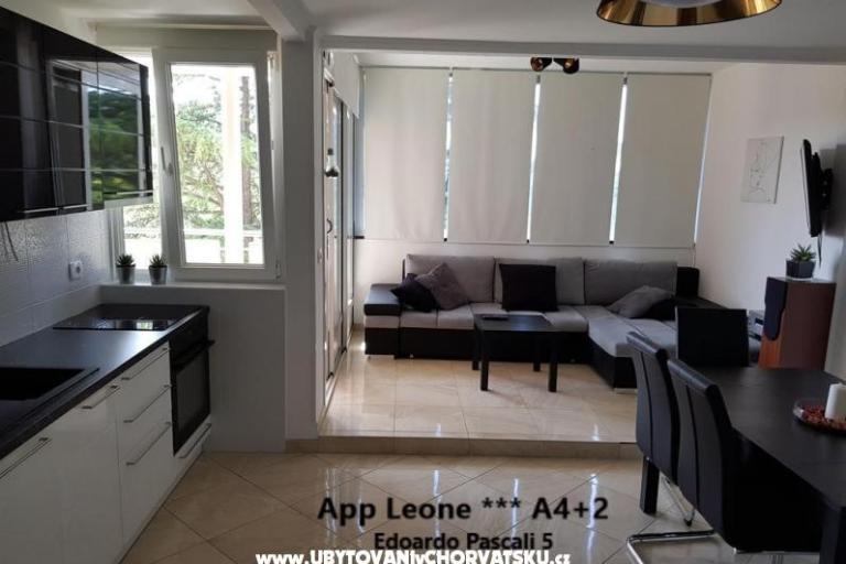 App Leone – foto 4