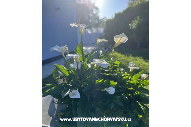 Holiday Kuća Gabi – foto 18