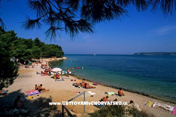 Apartmani Lav – foto 7