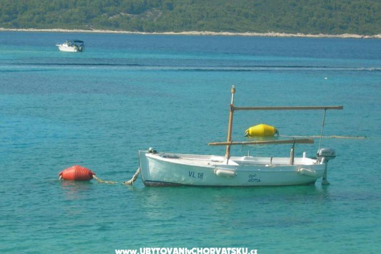Apartman Prznjak + boat – foto 5