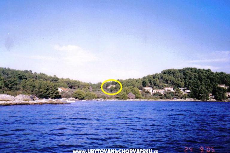 Gradina apartman – foto 2